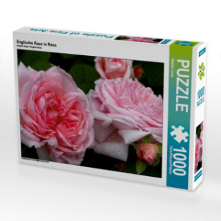 Englische Rose in Rosa (Puzzle)