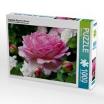 Englische Rosen im Garten (Puzzle)