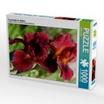 Traumhafte Iris Blüten (Puzzle)