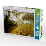 Herbst im Havelland (Puzzle)