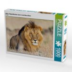 Afrika: Majestätischer Löwe in der Masai Mara (Puzzle)