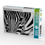 Afrika: Nahaufnahme eines Steppenzebra in Botswana (Puzzle)