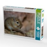 Zur Abwechslung mal Heu (Puzzle)