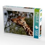 Giraffen - Kopfschütteln (Puzzle)
