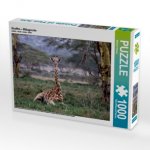 Giraffen - Mittagsruhe (Puzzle)