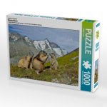 Ein Motiv aus dem Kalender Murmeltiere (Puzzle)