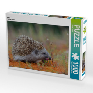 Igel (Puzzle)