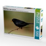 Ein Motiv aus dem Kalender INNE BOTANIK - Vögel im Ruhrpott (Puzzle)