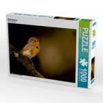 Rotkehlchen (Puzzle)