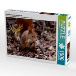 Eichhörnchen im Herbstlaub (Puzzle)