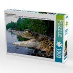 Sri Lanka Krokodil (Puzzle)