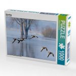 Gänseflug (Puzzle)