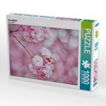 Kirschblüte (Puzzle)