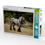 Trait Poitevin (Puzzle)