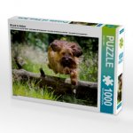 Briard in Action (Puzzle)