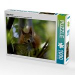 Putzige Nager (Puzzle)