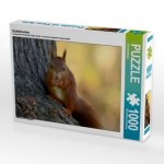Eichhörnchen (Puzzle)