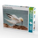 Vom Winde verweht - Basstölpel (Puzzle)