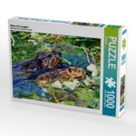 Biber mit Jungtier (Puzzle)
