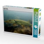 Junger Hecht (Puzzle)