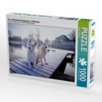 Am winterlichen Olympiasee in München (Puzzle)