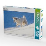 Schnee-Wolf (Puzzle)