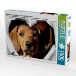 Rhodesian Ridgeback - eine Liebe fürs Leben - (Puzzle)