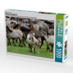 Dülmener Wildpferde mit Stute und Fohlen, 1000 Teile