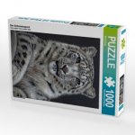 Der Schneeleopard (Puzzle)