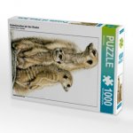 Erdmännchen bei der Wache (Puzzle)