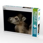 Kamel (Puzzle)
