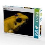 Schrecklicher Pfeilgiftfrosch (Puzzle)