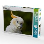 Ein Motiv aus dem Kalender Die Kakadus sind los (Puzzle)