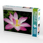 Pink Lotus Nelumbo Nucifera (Puzzle)