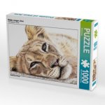 Müder Junger Löwe (Puzzle)