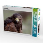 Wüstenbussard (Puzzle)
