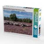 Heidschnuckenherde im Naturpark Höpen bei Schneverdingen (Puzzle)