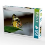 Cethosia cyane (Puzzle)