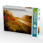 Mohnblumen am Radweg zwischen Heßdorf und Großenseebach (Puzzle)
