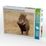 Warzenschwein, Ngorongoro Conservation Area, Tansania (Puzzle)