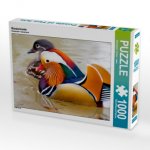 Mandarinente (Puzzle)