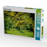 Ein Blick in den Wald (Puzzle)