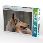Highland Hawk Fame immer aufmerksam (Puzzle)