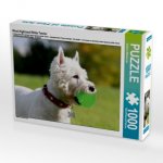 West Highland White Terrier (Puzzle)
