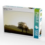Apfelbäume im Odenwald (Puzzle)