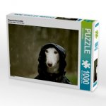 Regenjackenwetter (Puzzle)