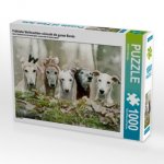 Fröhliche Weihnachten wünscht die ganze Bande (Puzzle)
