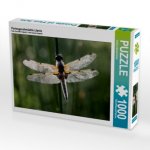 Perlengeschmückte Libelle (Puzzle)