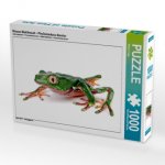 Riesen-Makifrosch - Phyllomedusa bicolor (Puzzle)