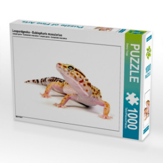Leopardgecko - Eublepharis macularius (Puzzle)